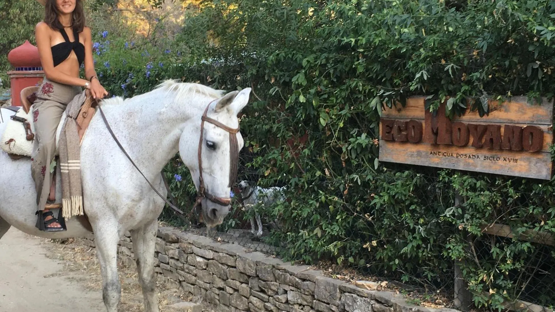 Lodge Eco Moyano Posada Gaucin