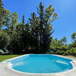 Con Piscina Viajar Con Mascota Gaucín