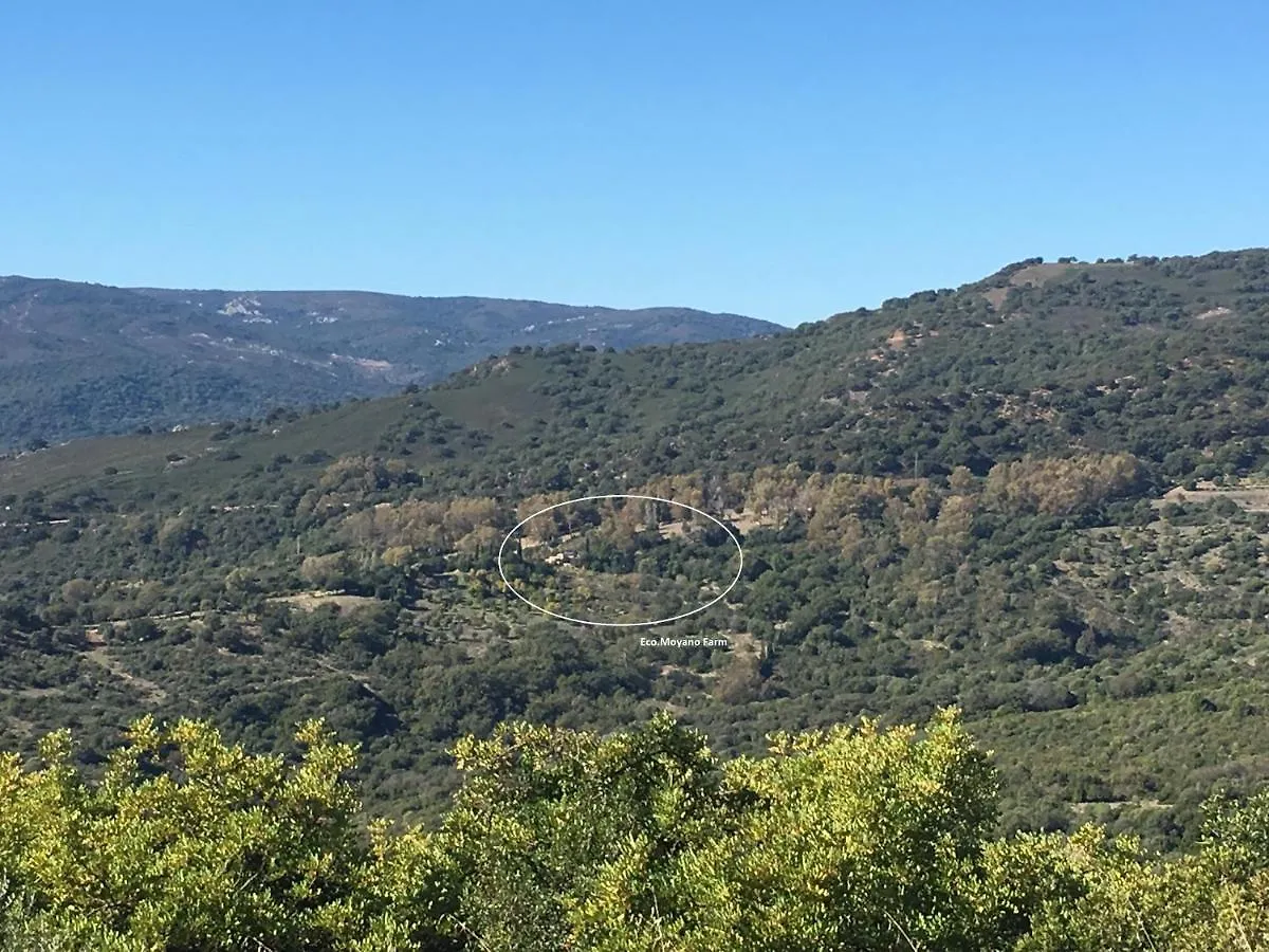 Eco Moyano Posada Gaucín España
