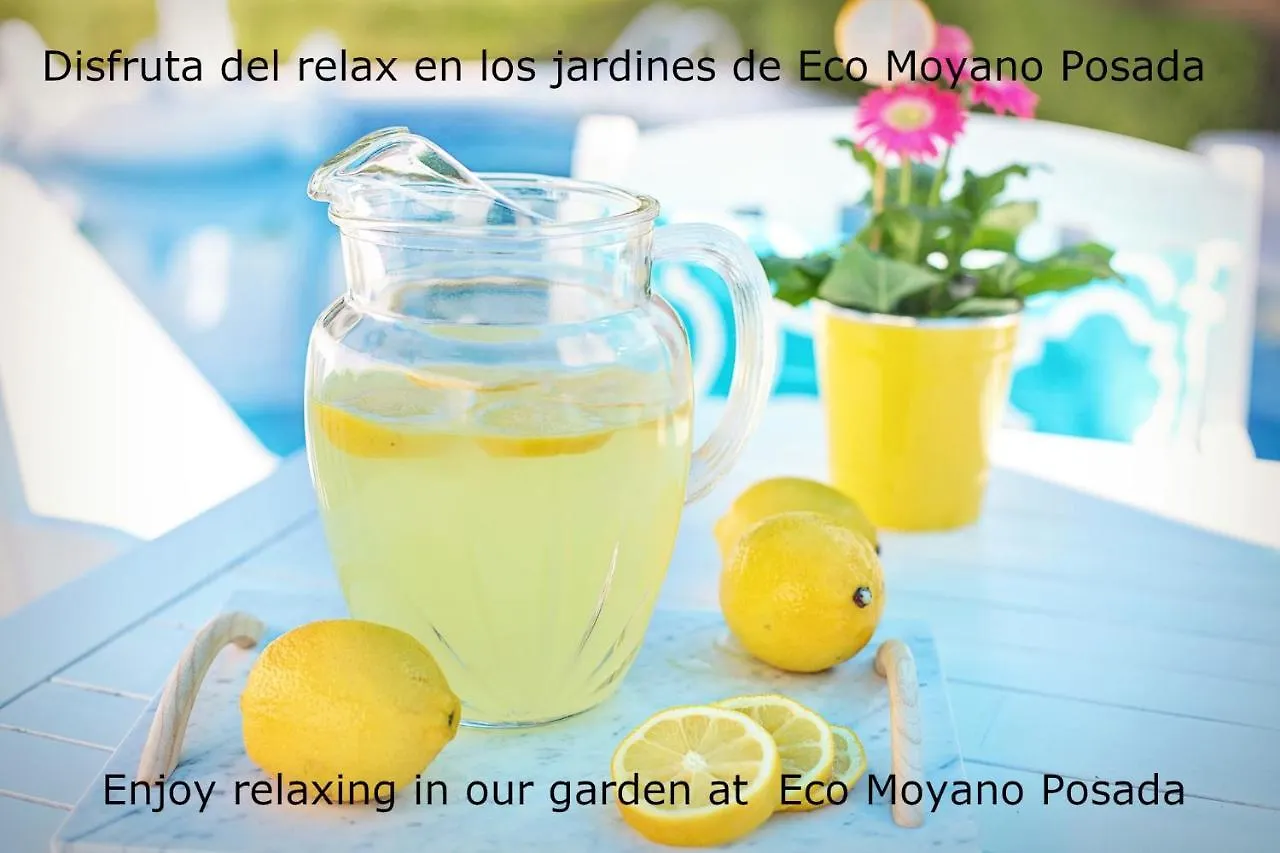 Eco Moyano Posada Gaucín 0*,  España
