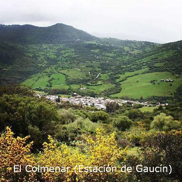 Eco Moyano Posada Gaucín España