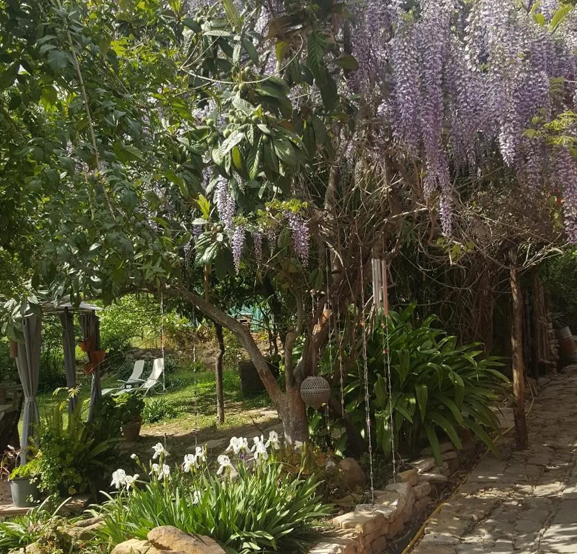 Eco Moyano Posada Gaucín